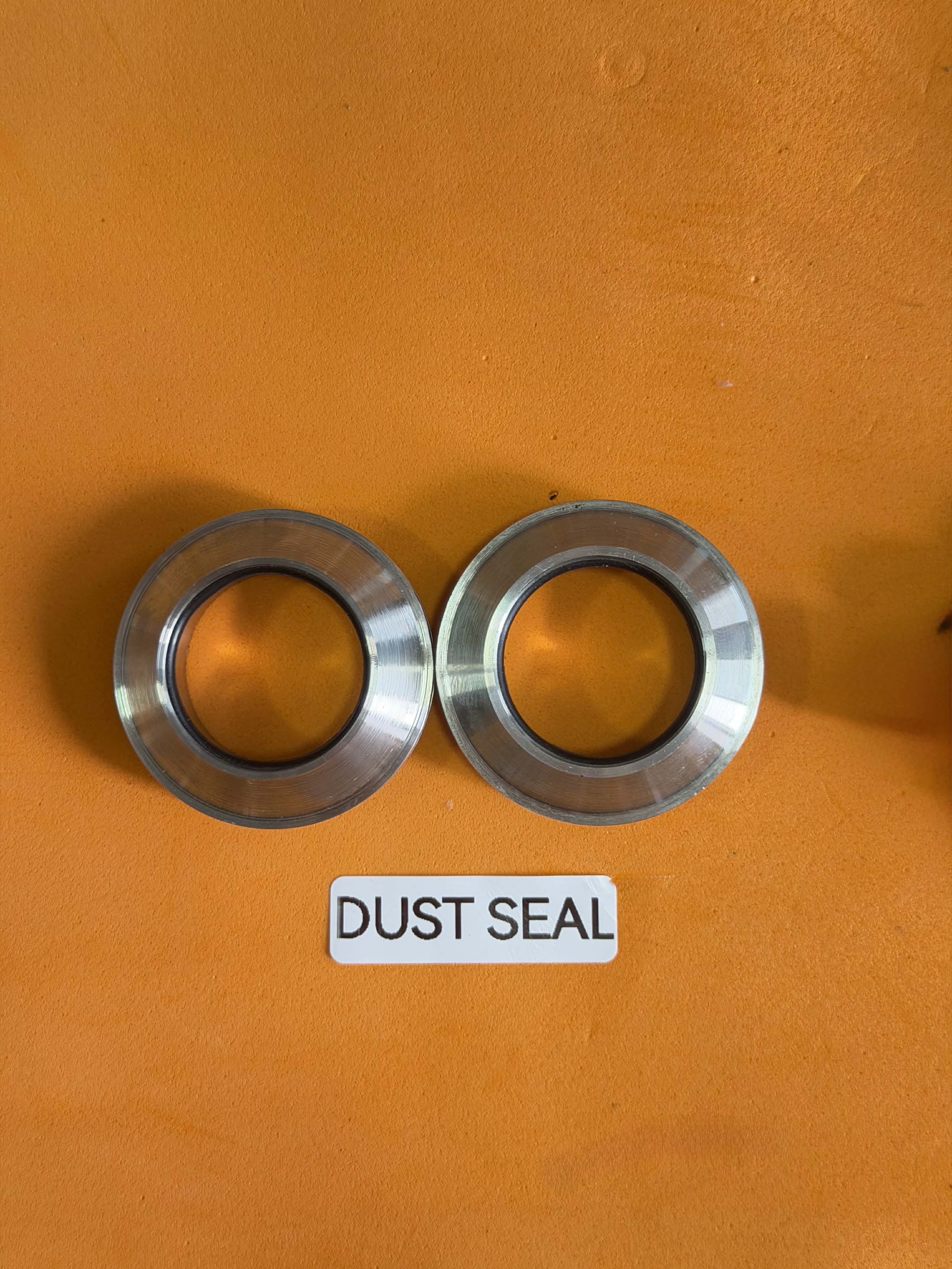 DUST SEAL RAIDER FI