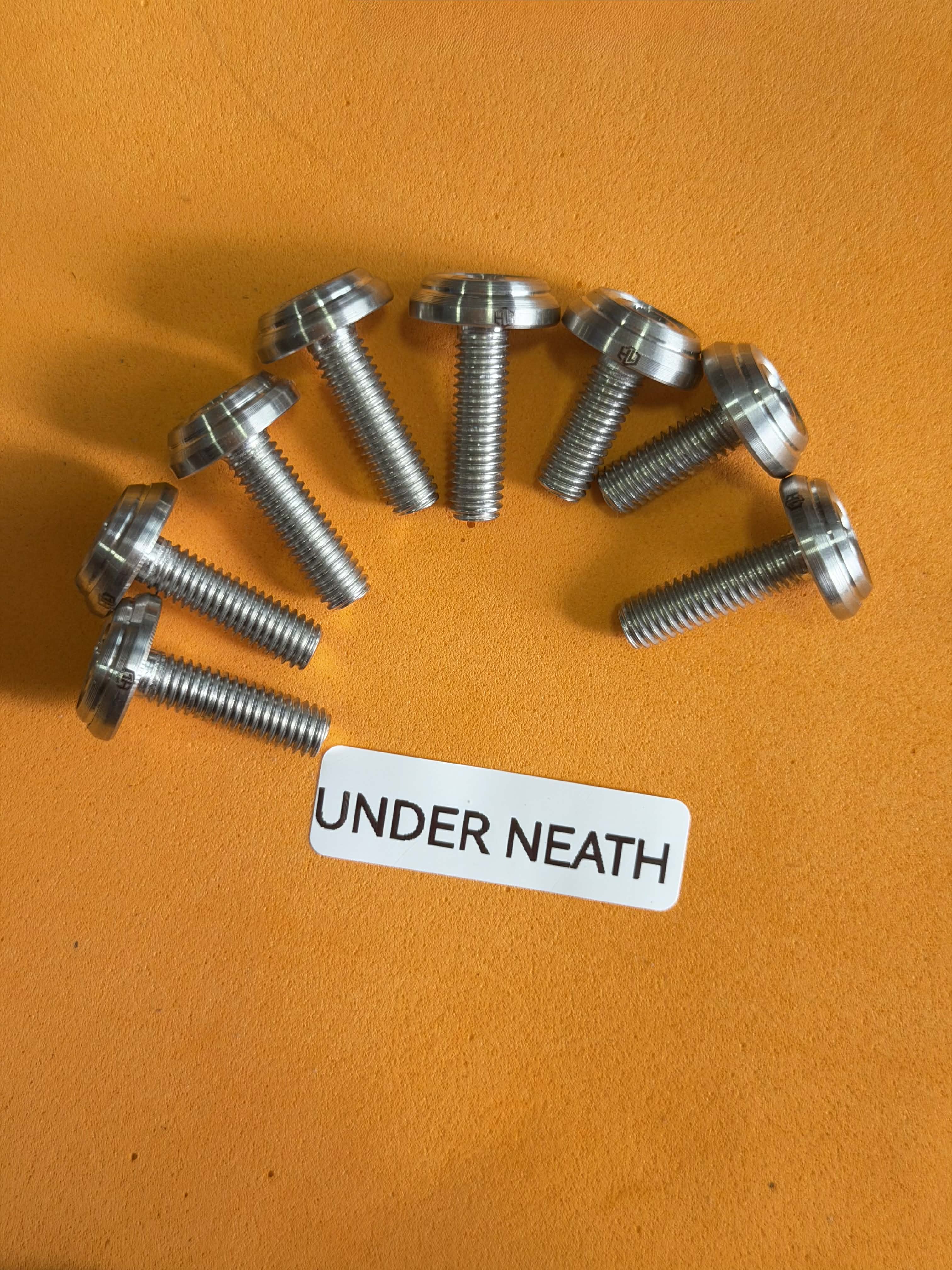 UNDER NEATH RAIDER FI